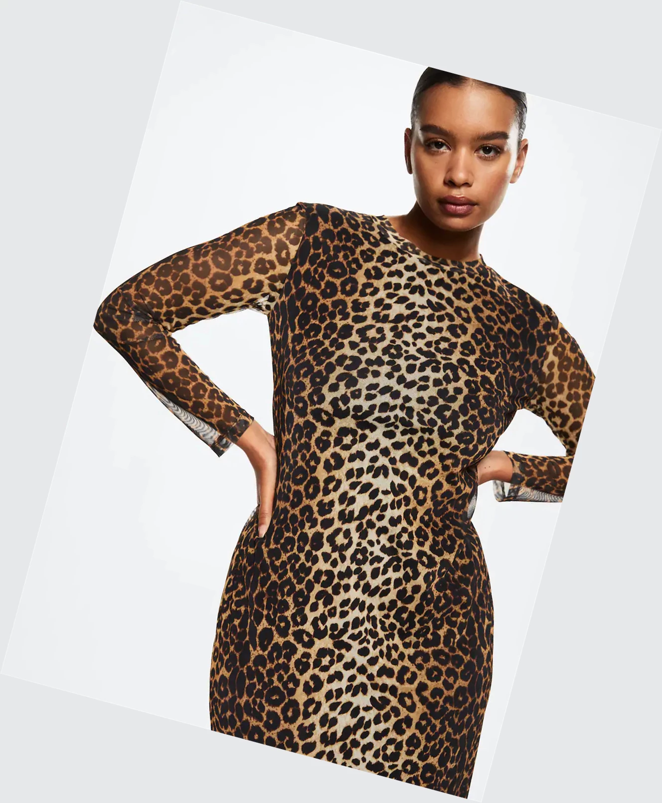 Saty Mango Animal Print Damske Hnede | SK860711